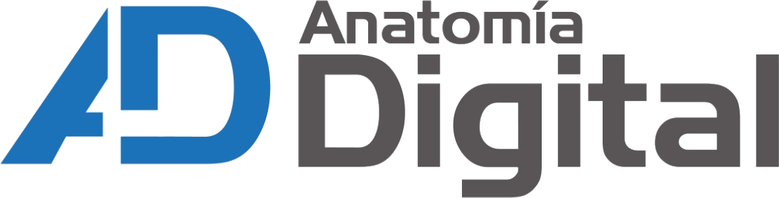 logo anatomia